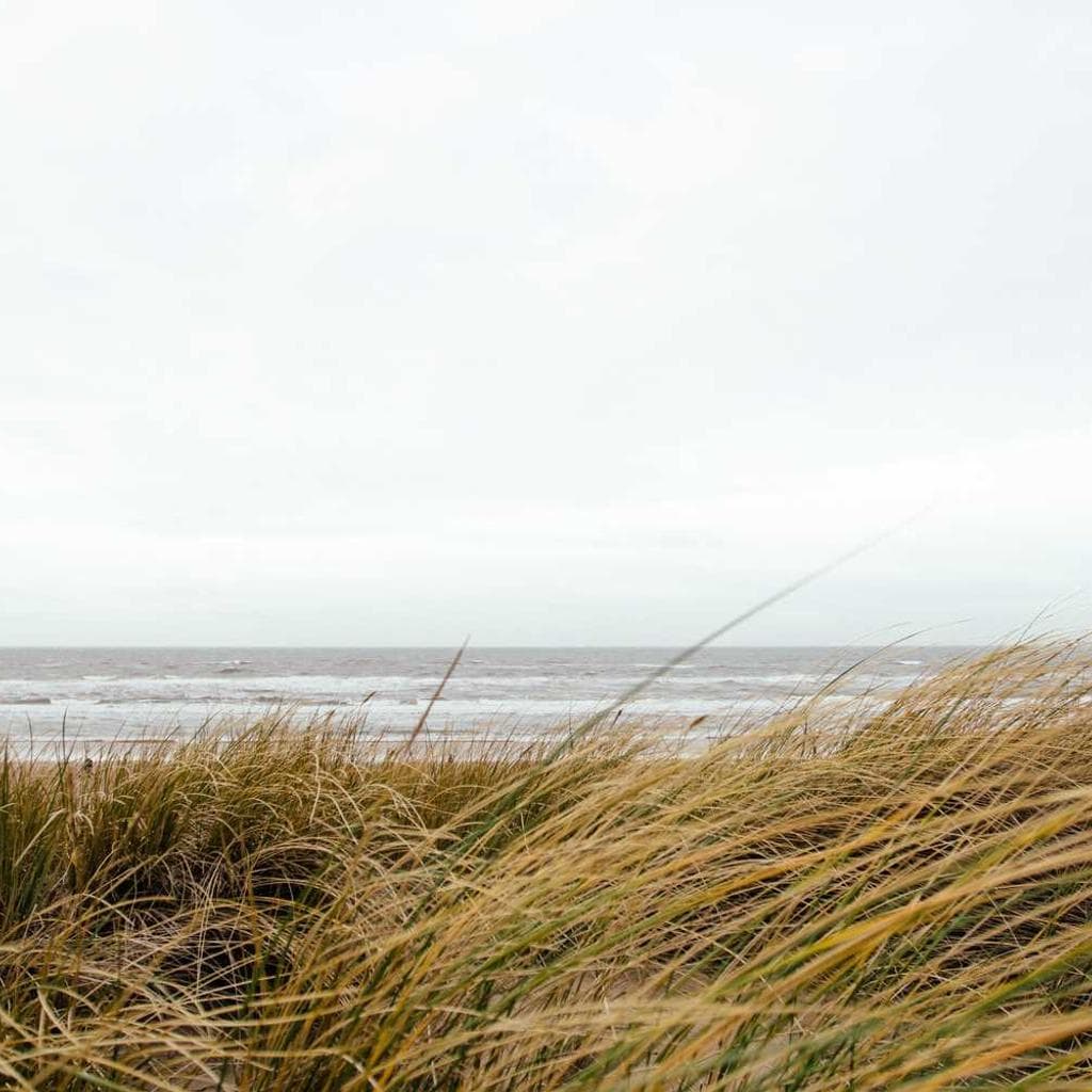 Talis vae comprehendo derideo.