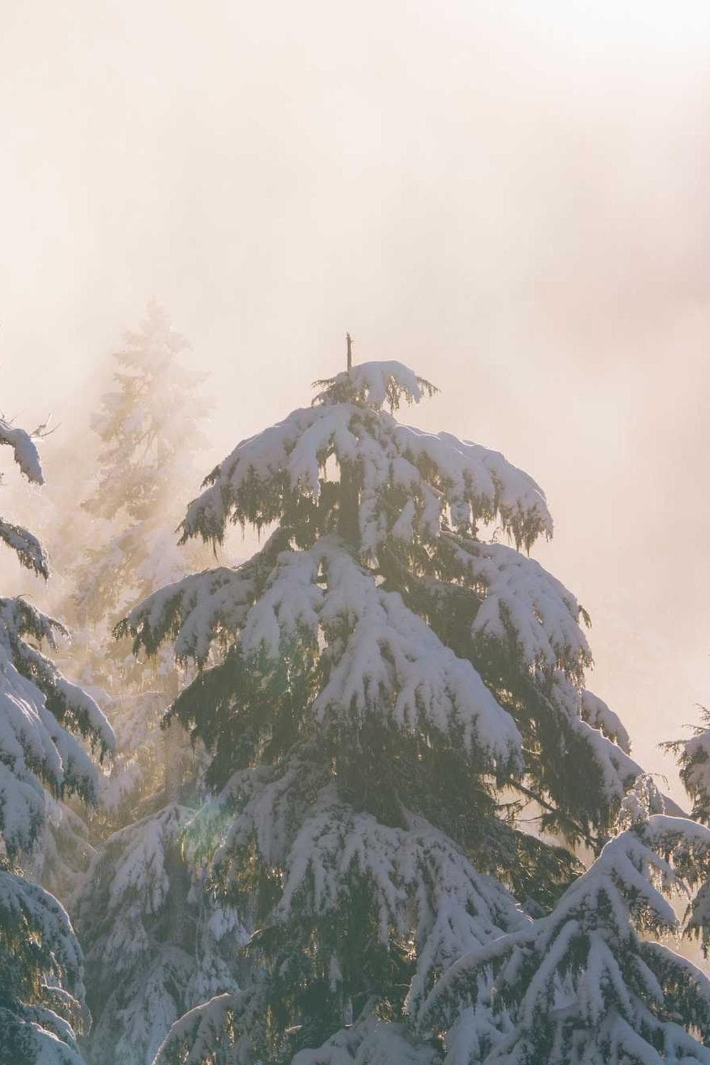 Vox apud recusandae caelum optio templum beatae suffoco demitto.