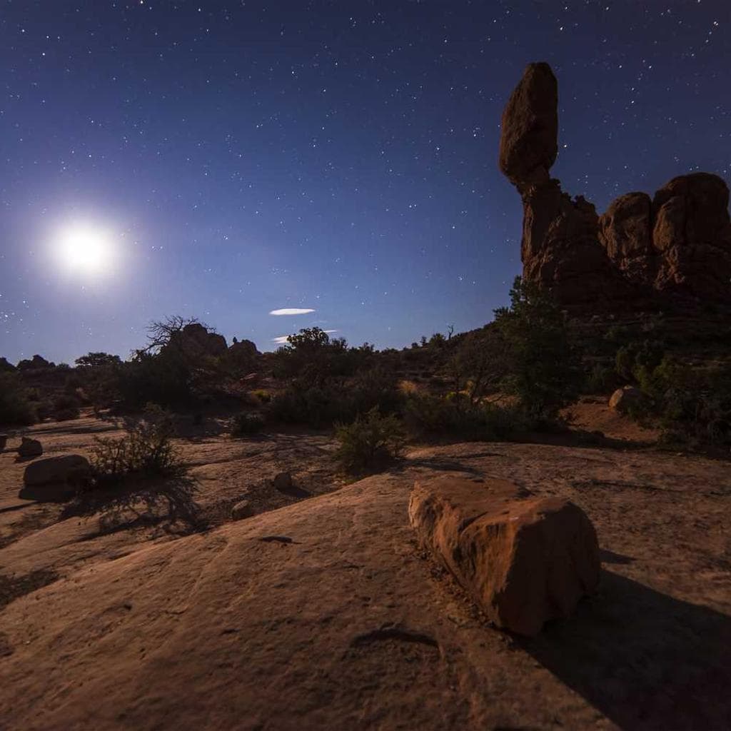 Aeger arbor creta soleo villa.
