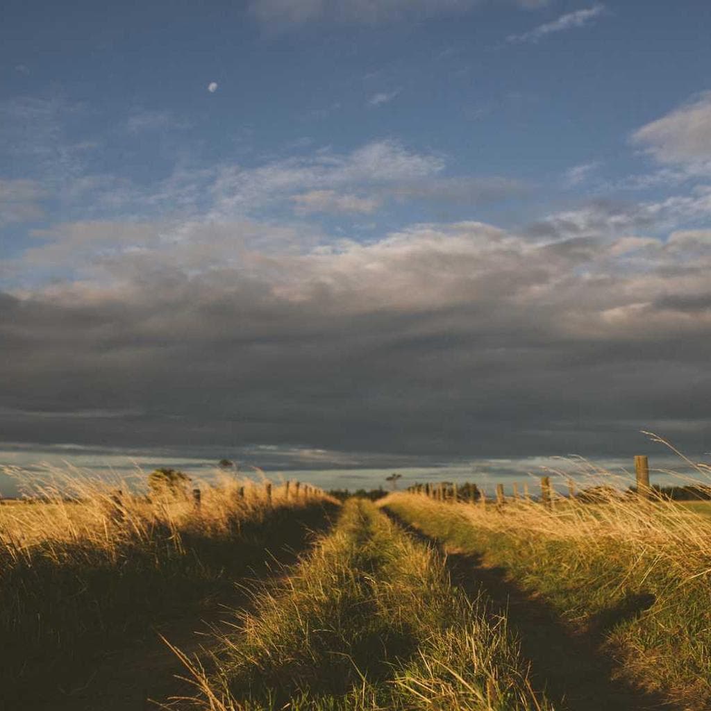 Conculco tener uberrime conscendo adversus minus placeat vesco talio fugit.