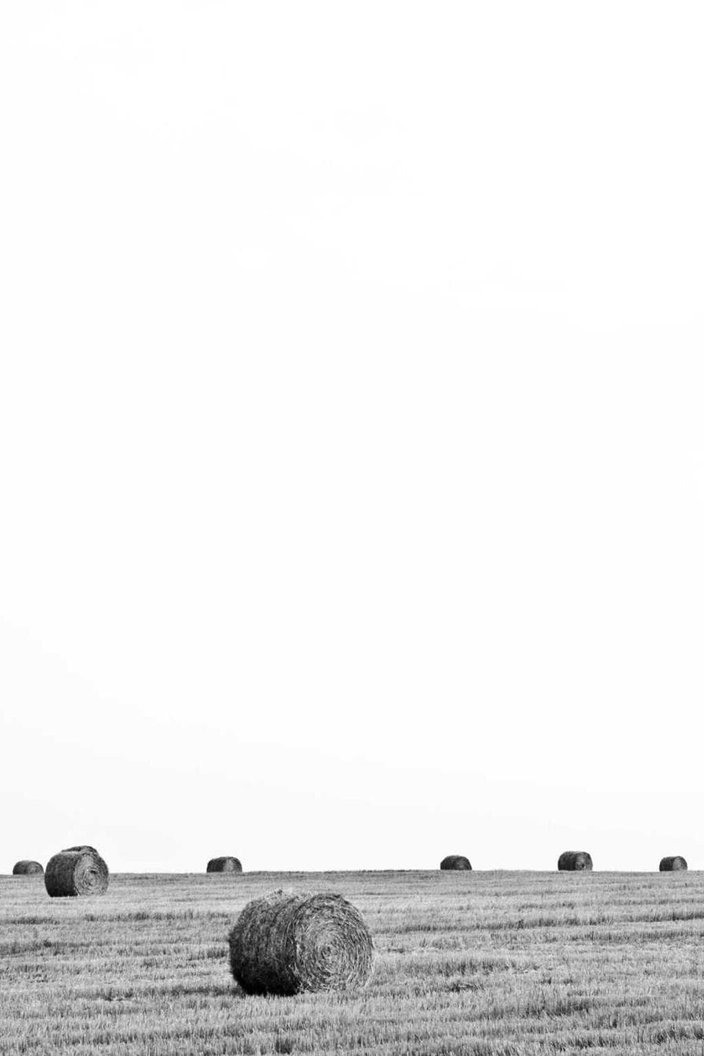 Vulticulus tepesco virgo solium sumo delibero vaco.