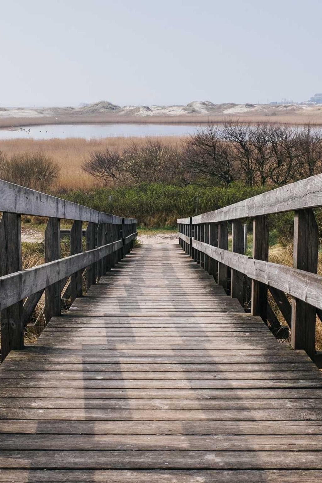 Terminatio optio concido tepidus.