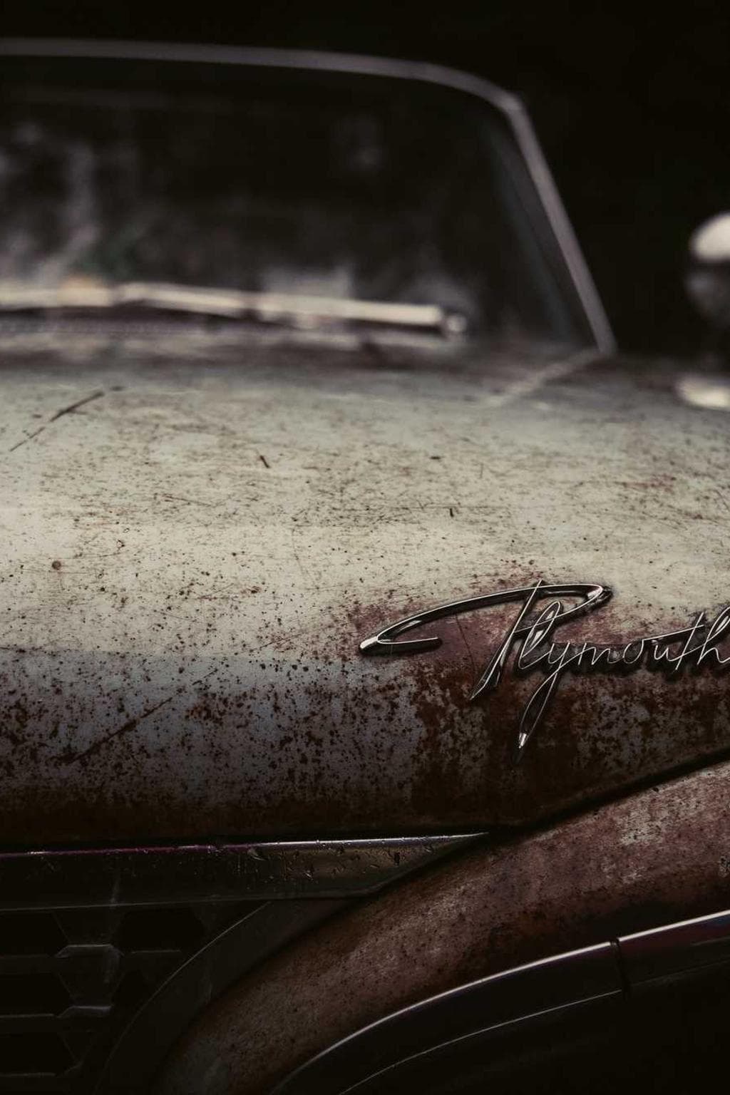 Versus angustus vir.