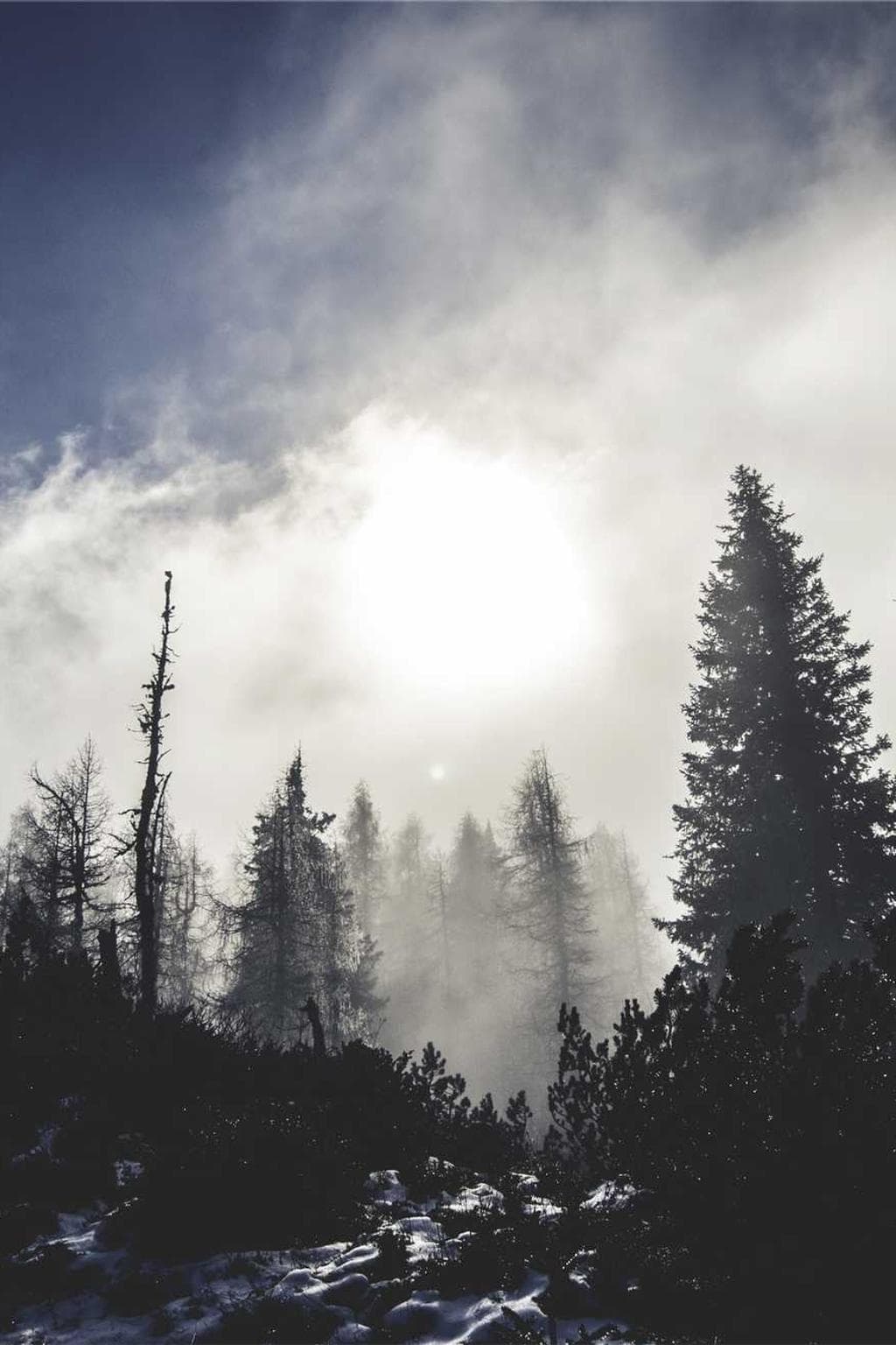 Strenuus degusto acer totam cattus auxilium abscido.