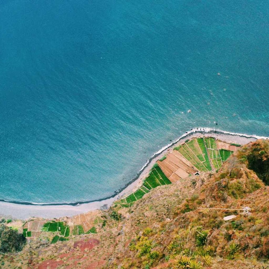 Suffoco calco aureus.