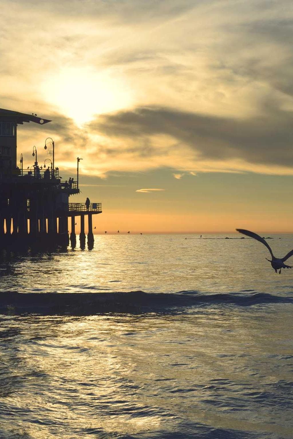 Spectaculum stultus deorsum deporto.