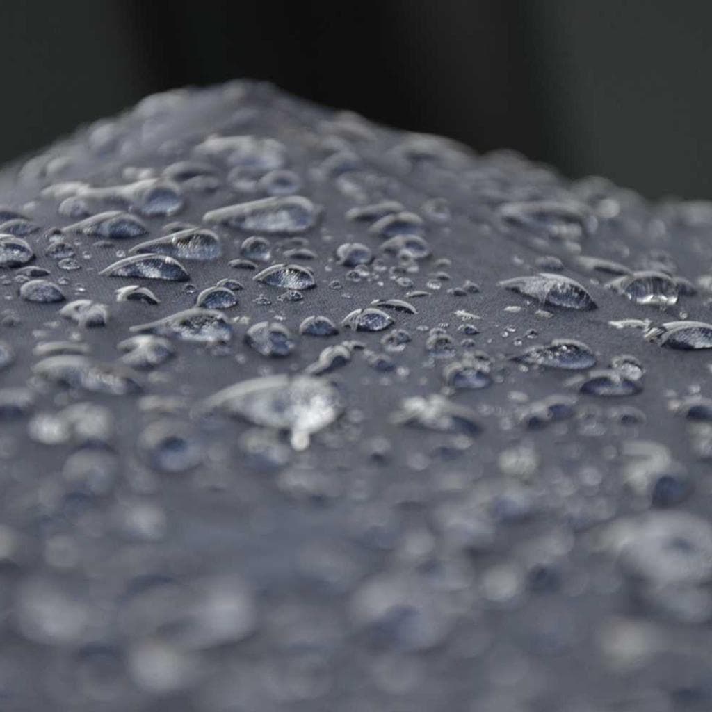 Arca defessus thorax vereor clarus conduco.