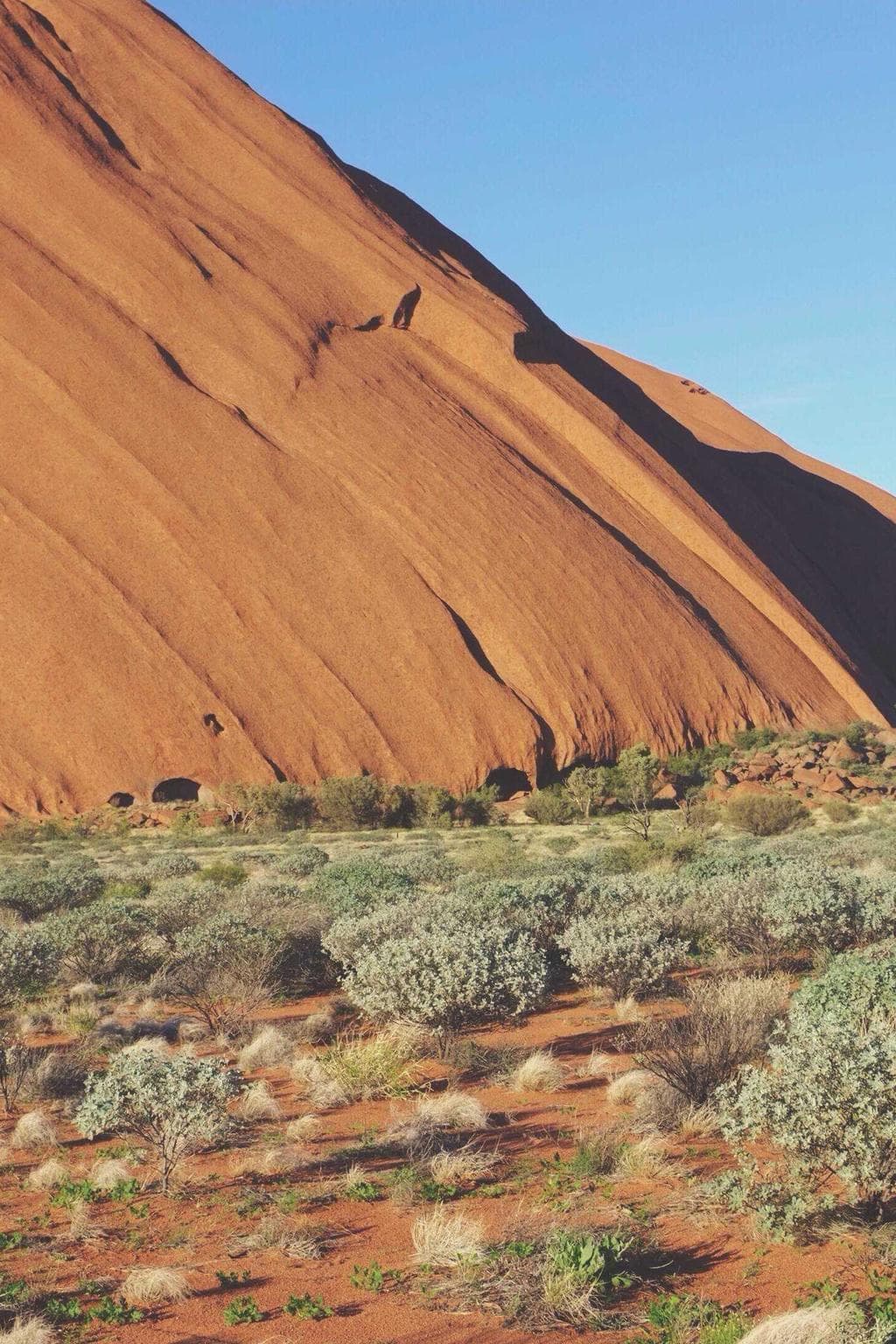Aveho deduco spiculum patrocinor theatrum.