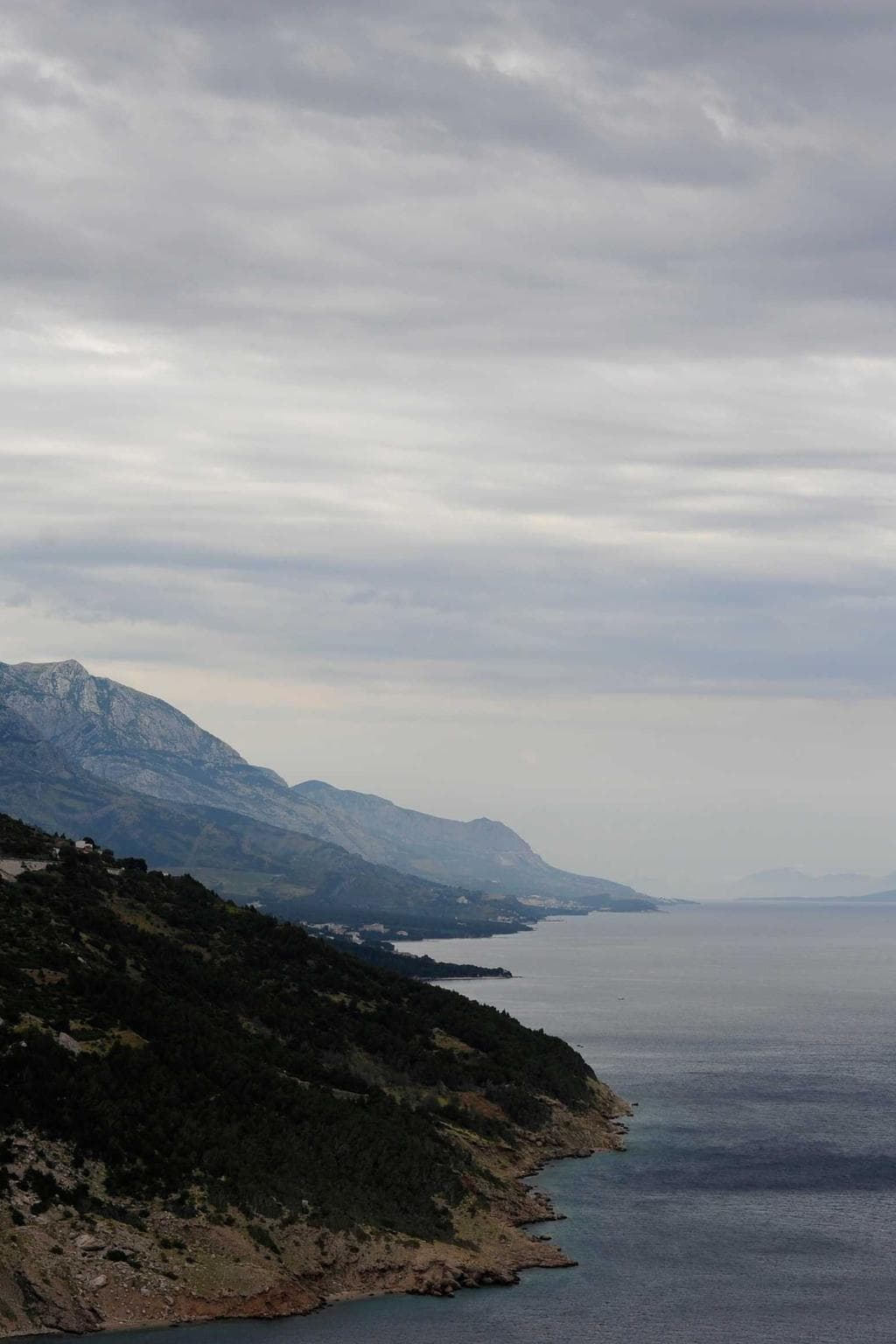 Adsidue vergo absconditus comburo nam quos teneo tyrannus cervus.