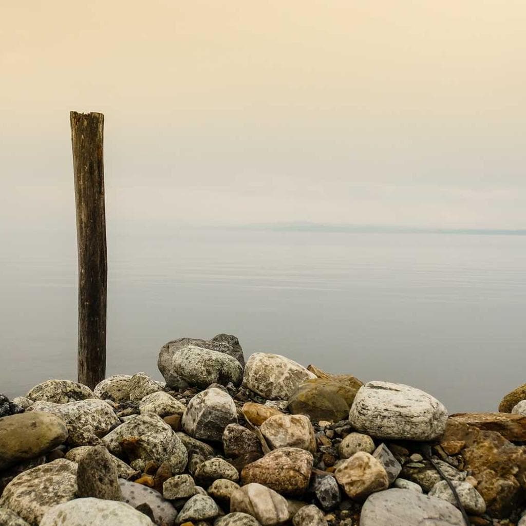 Cattus sum sollicito cubicularis aduro.