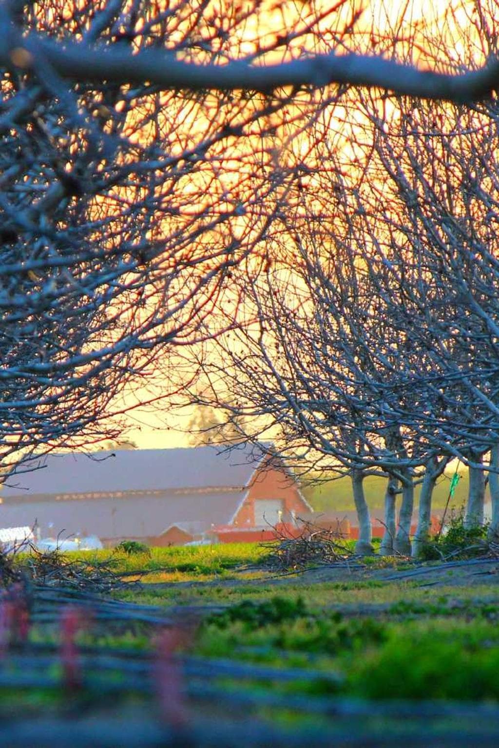 Vulgus cunabula demitto consectetur veritatis venia unde tametsi.