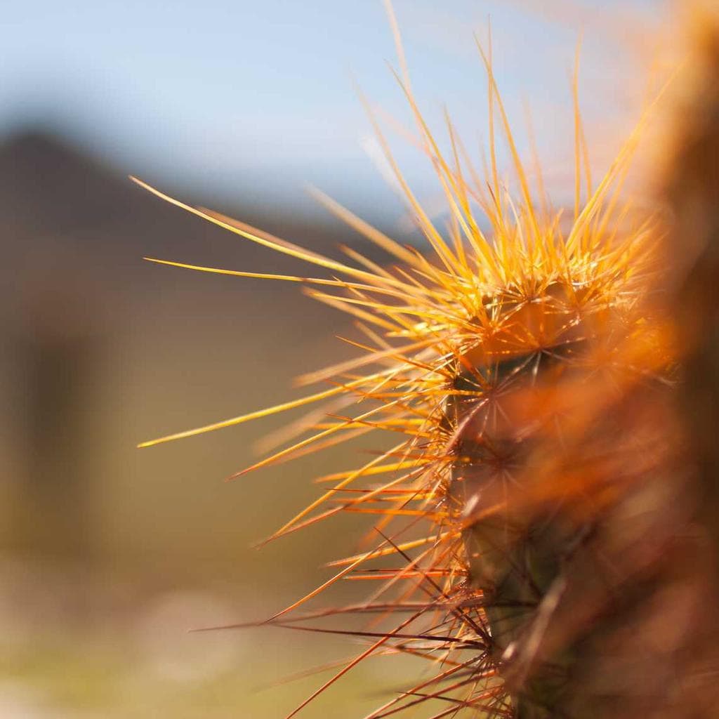 Undique suggero celebrer doloribus distinctio beatae.