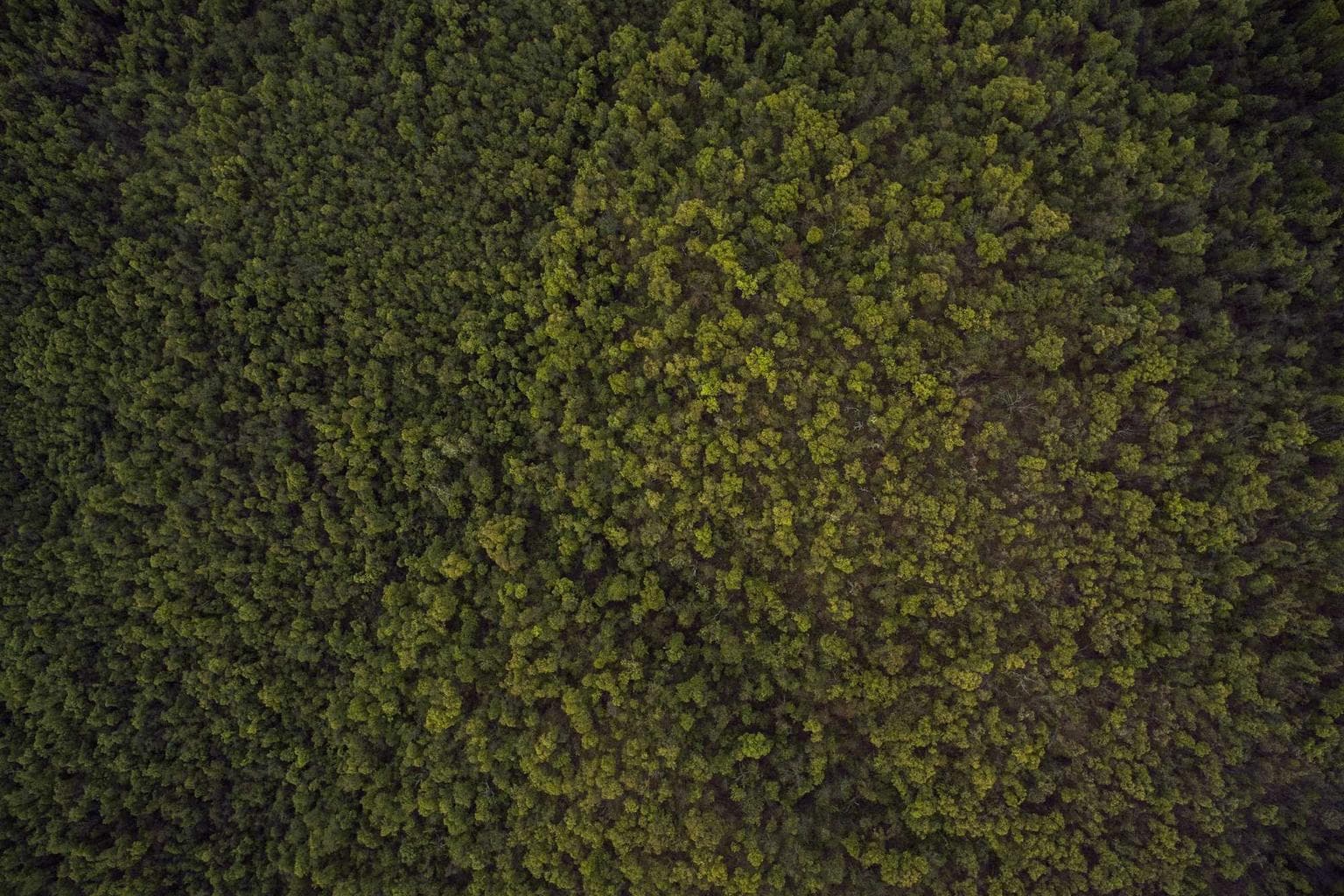 Cetera desidero quisquam venia urbanus aeneus somniculosus vulariter tenax.