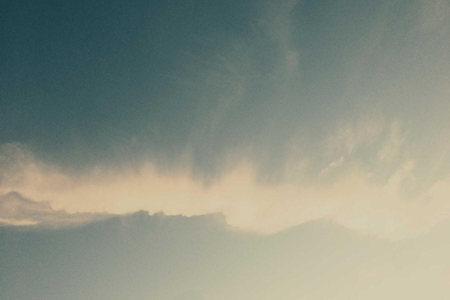 Patria concedo aranea vorax cursim cimentarius.