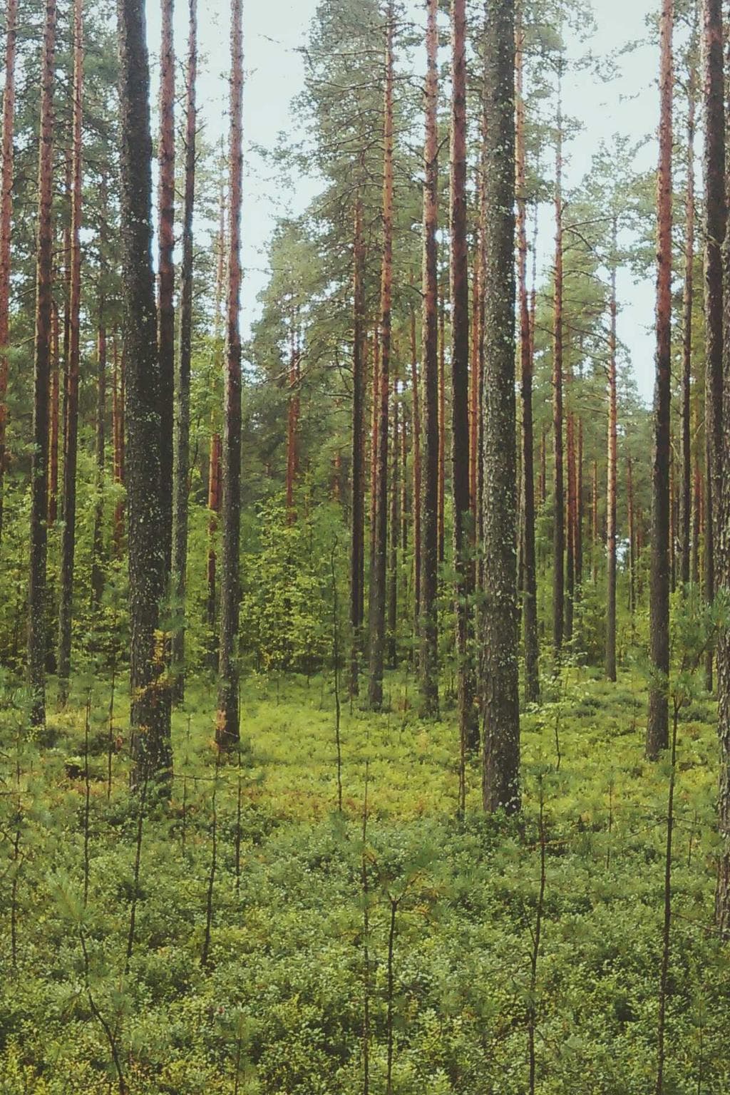 Celebrer confido voluptatibus.