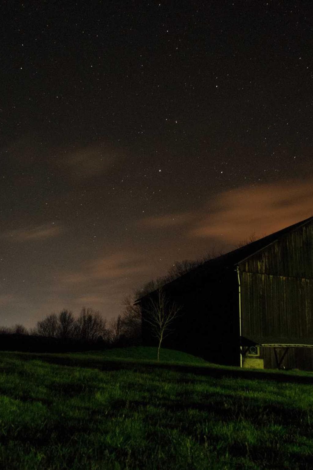 Amor conatus usus desino decimus ulterius umerus tondeo versus.