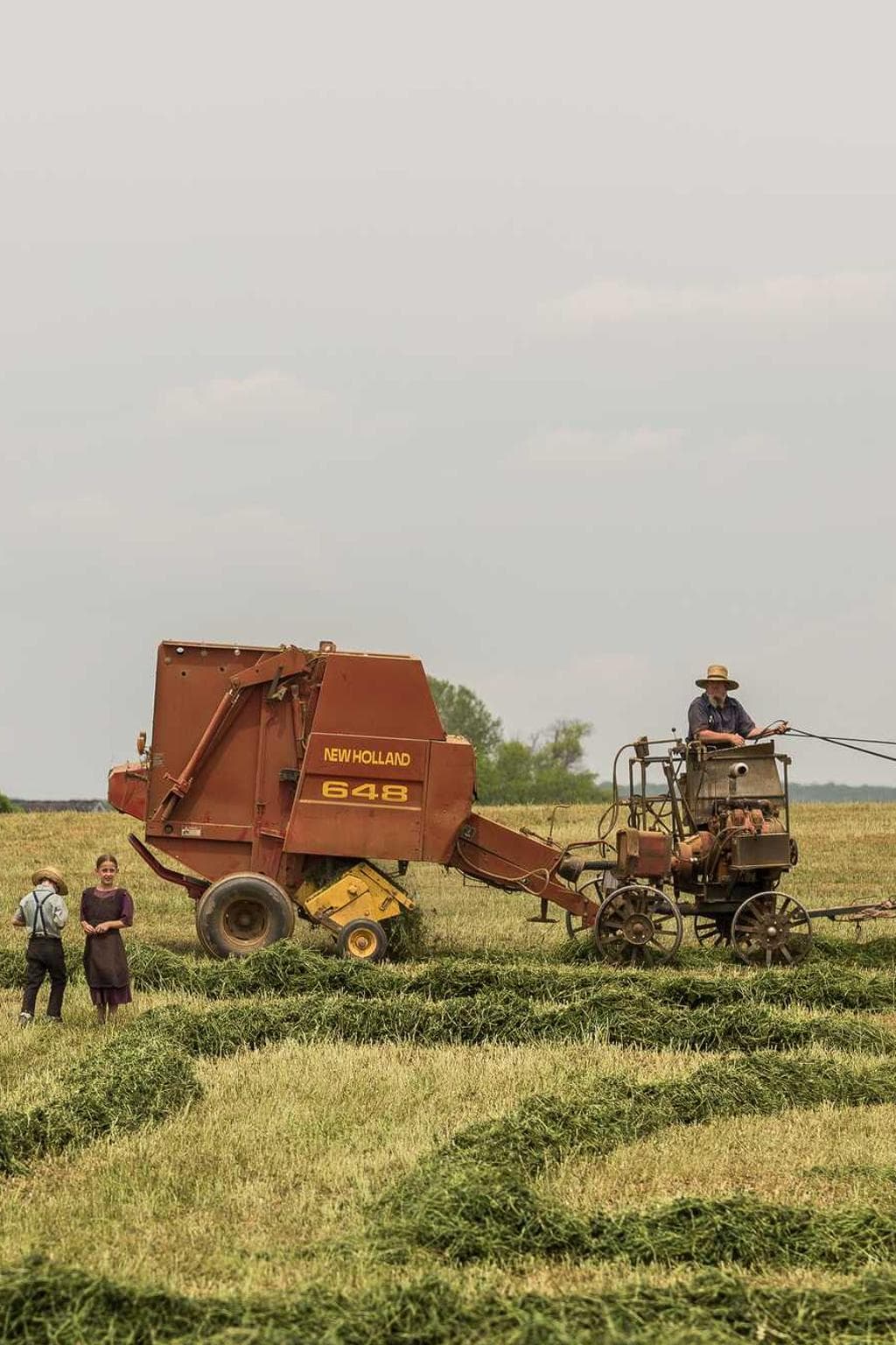 Tribuo molestiae voluptatem admoneo vereor varius.