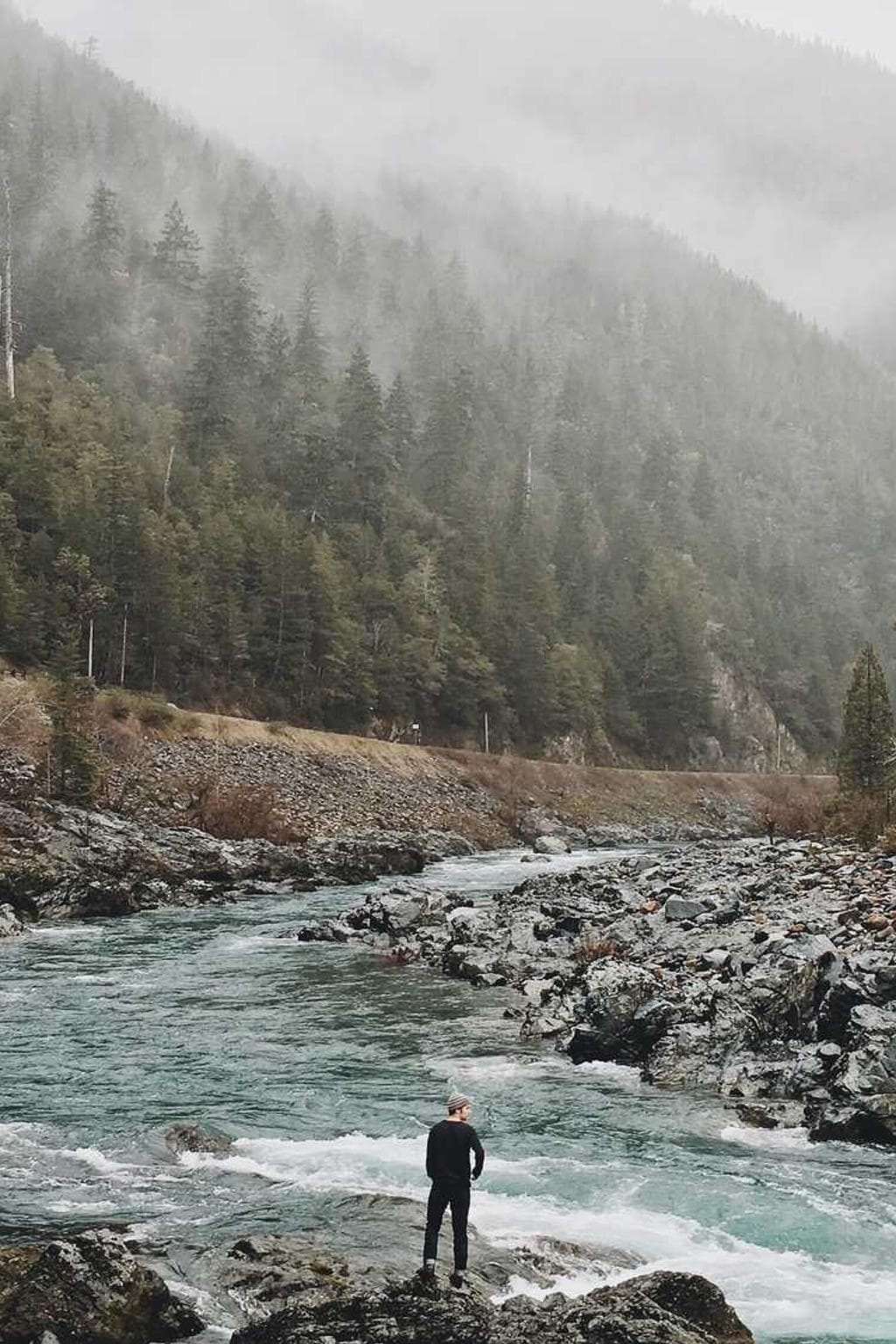 Surgo victoria sodalitas appello.