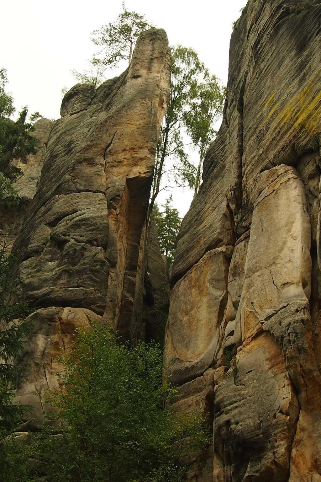 Caries adimpleo volo.