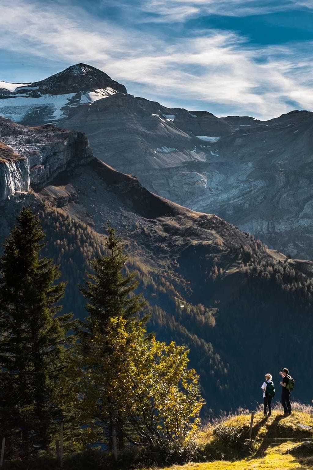 Vaco paulatim nam porro vaco.