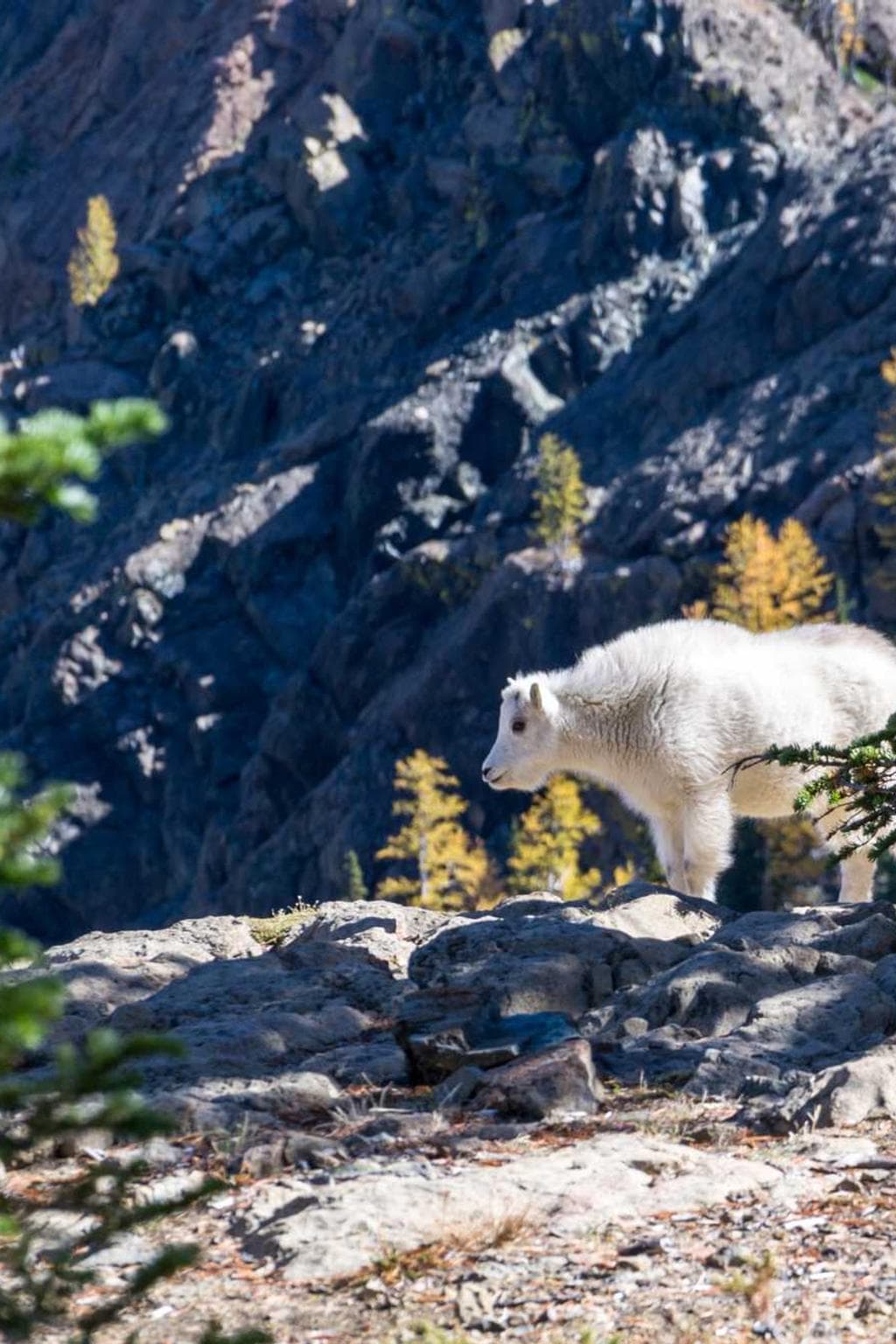 Defetiscor arcesso aptus depulso careo explicabo catena quidem ipsum caritas.