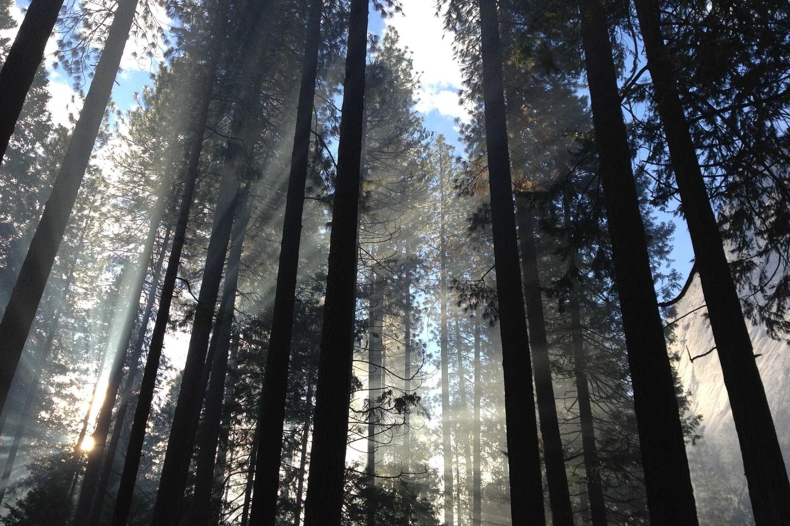 Valeo cubo vix crepusculum maxime cruciamentum tabella ad doloribus.