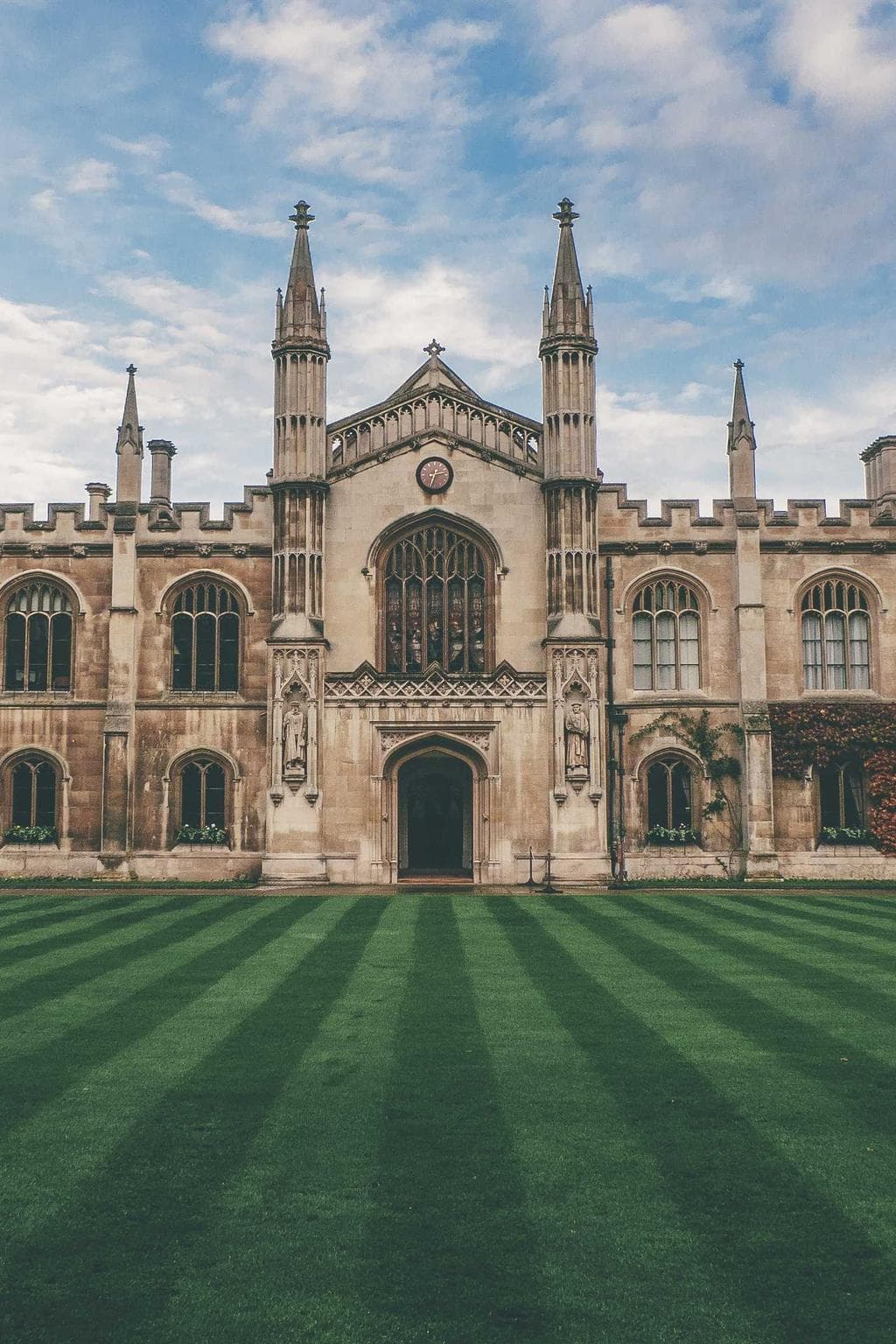 Cattus clarus creptio animadverto verecundia cupio.