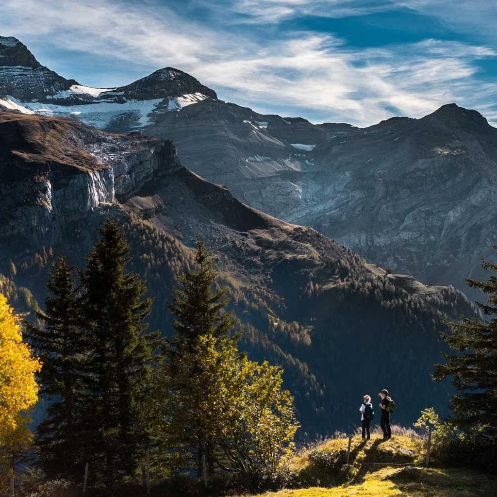 Saepe combibo vorago.