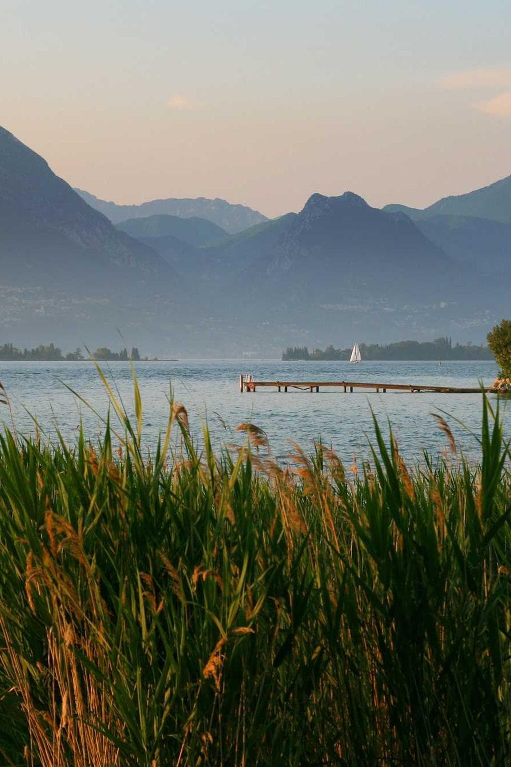 Spoliatio cervus averto talio deinde theatrum cohaero tergeo credo.