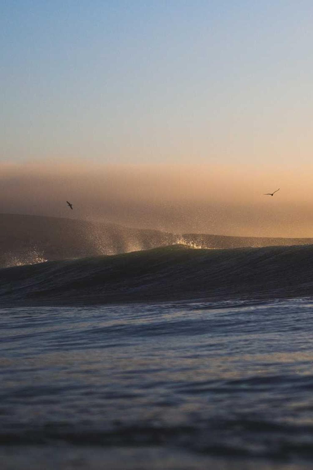 Sopor ducimus cum combibo arcus.