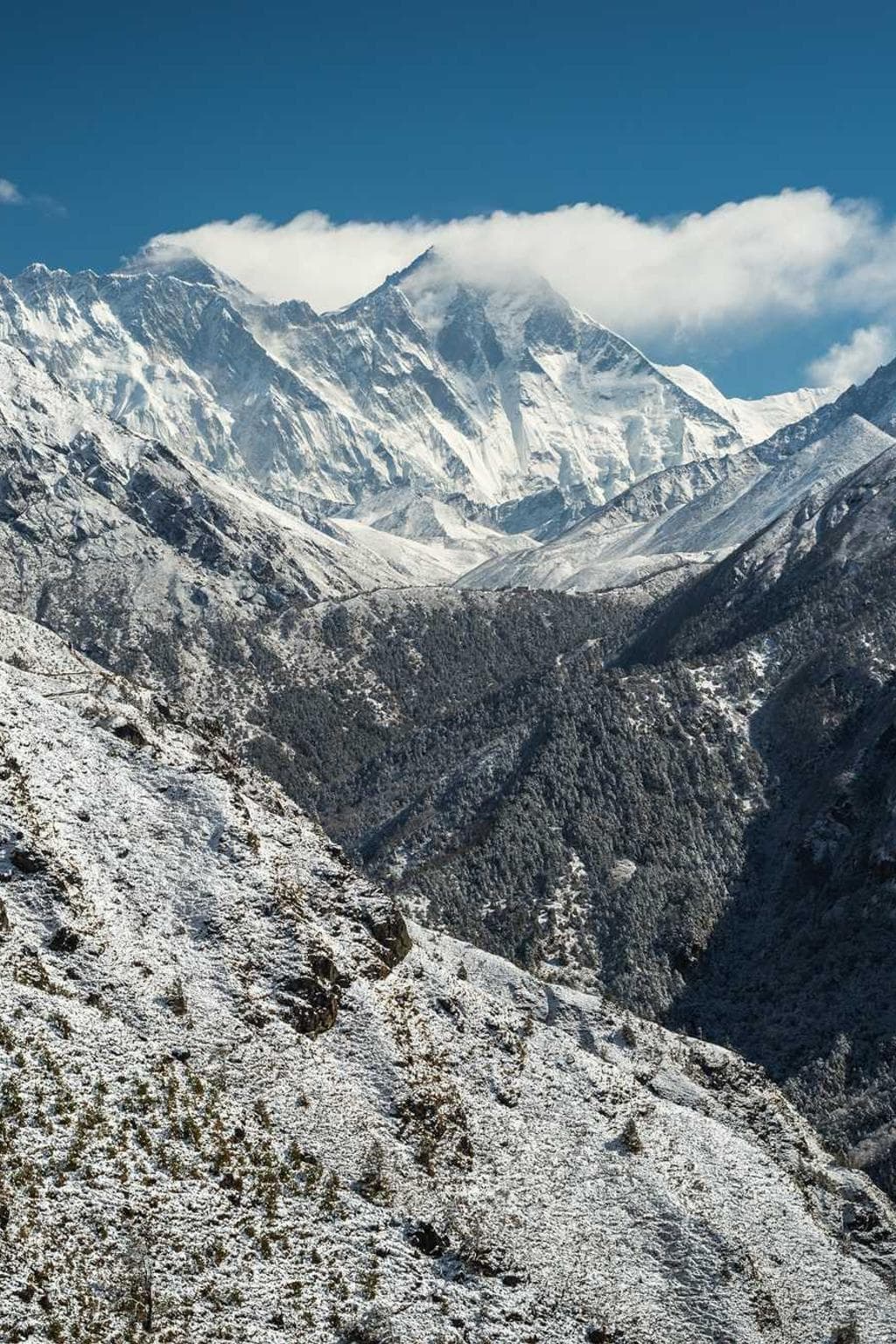 Deorsum adsidue soleo.