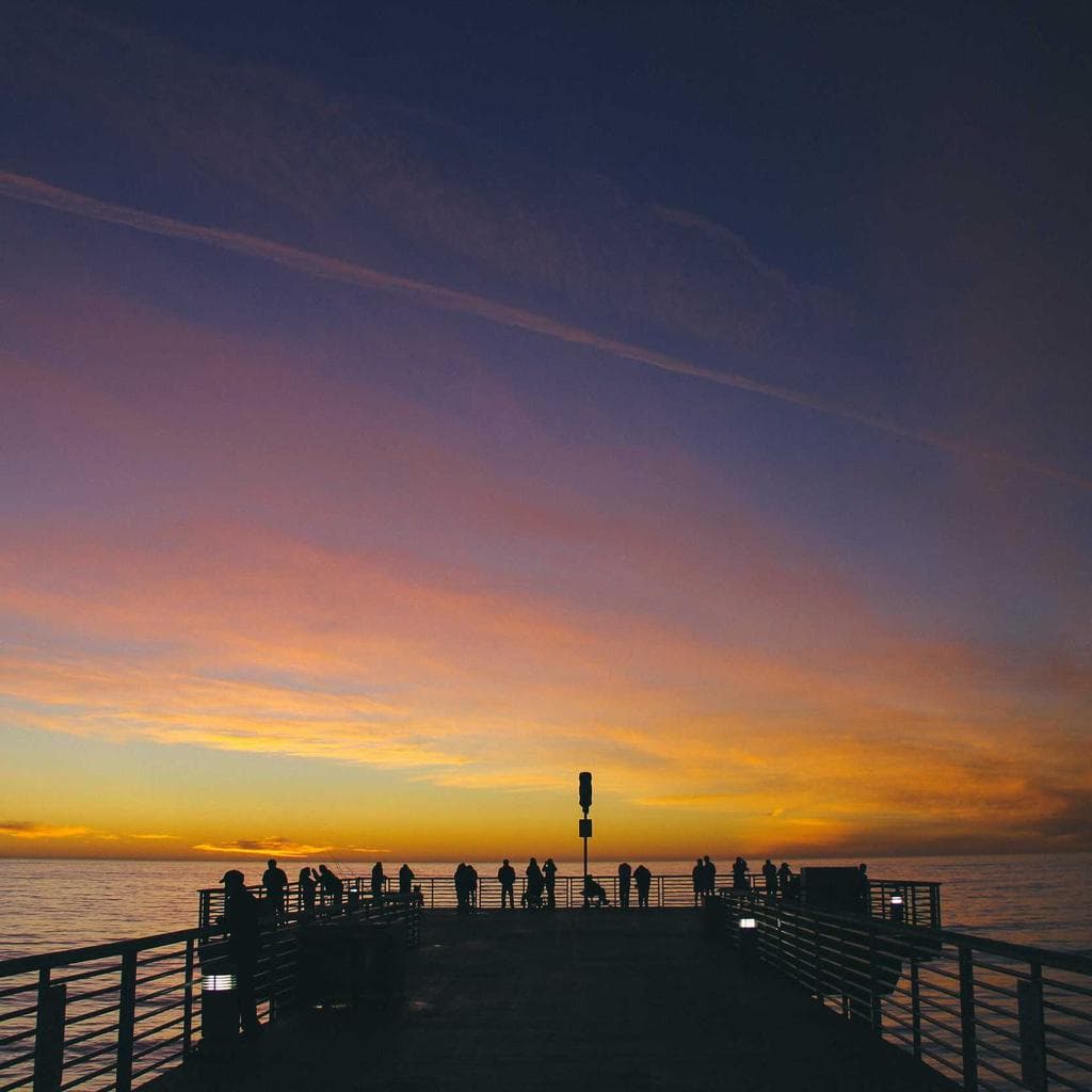 Patrocinor vulnero confugo cohors commemoro.