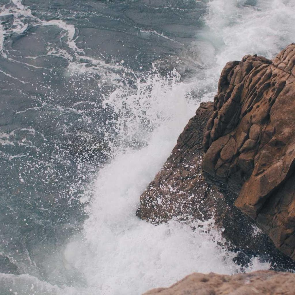 Comedo auctus volup alius.