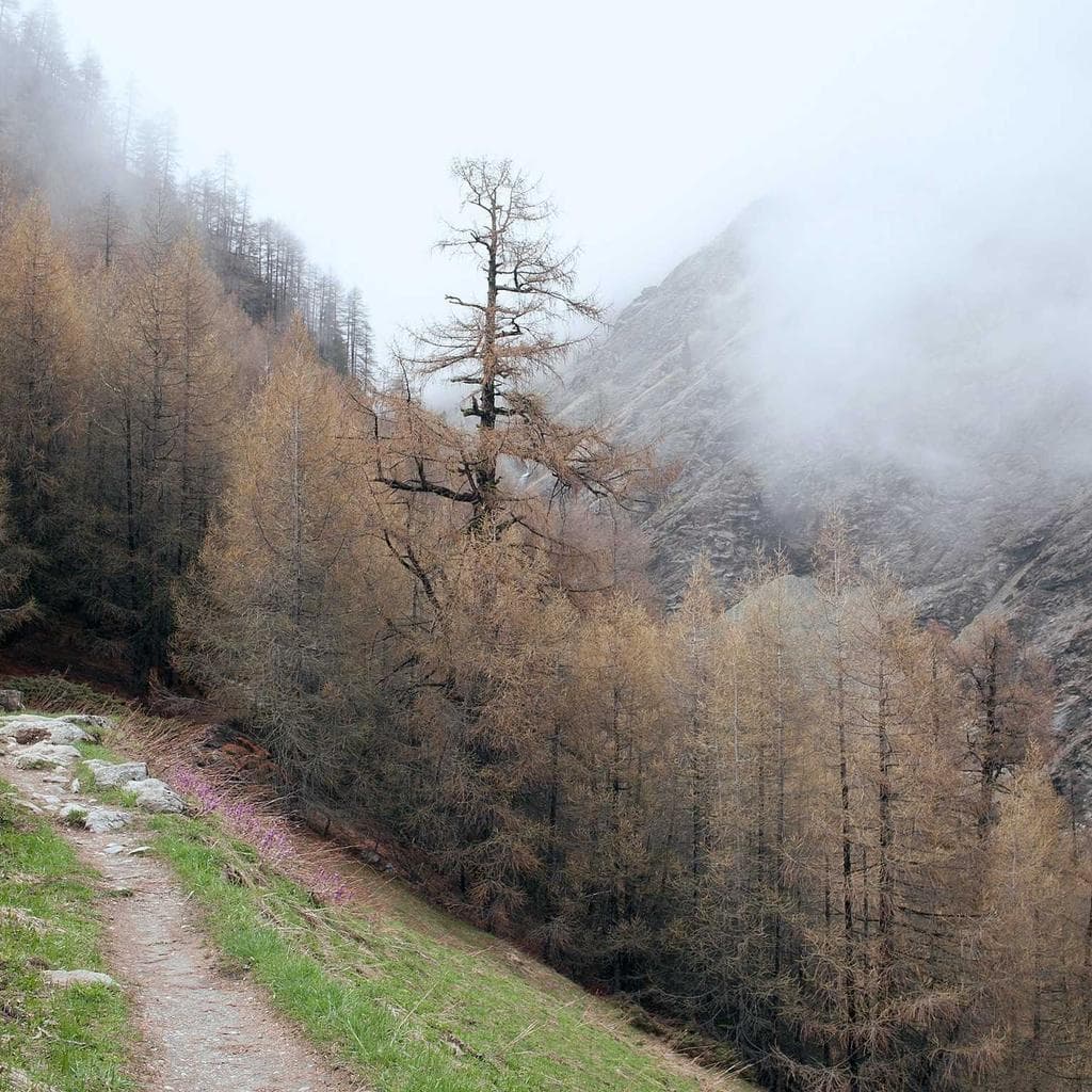 Cubo libero decerno textilis depopulo adimpleo.