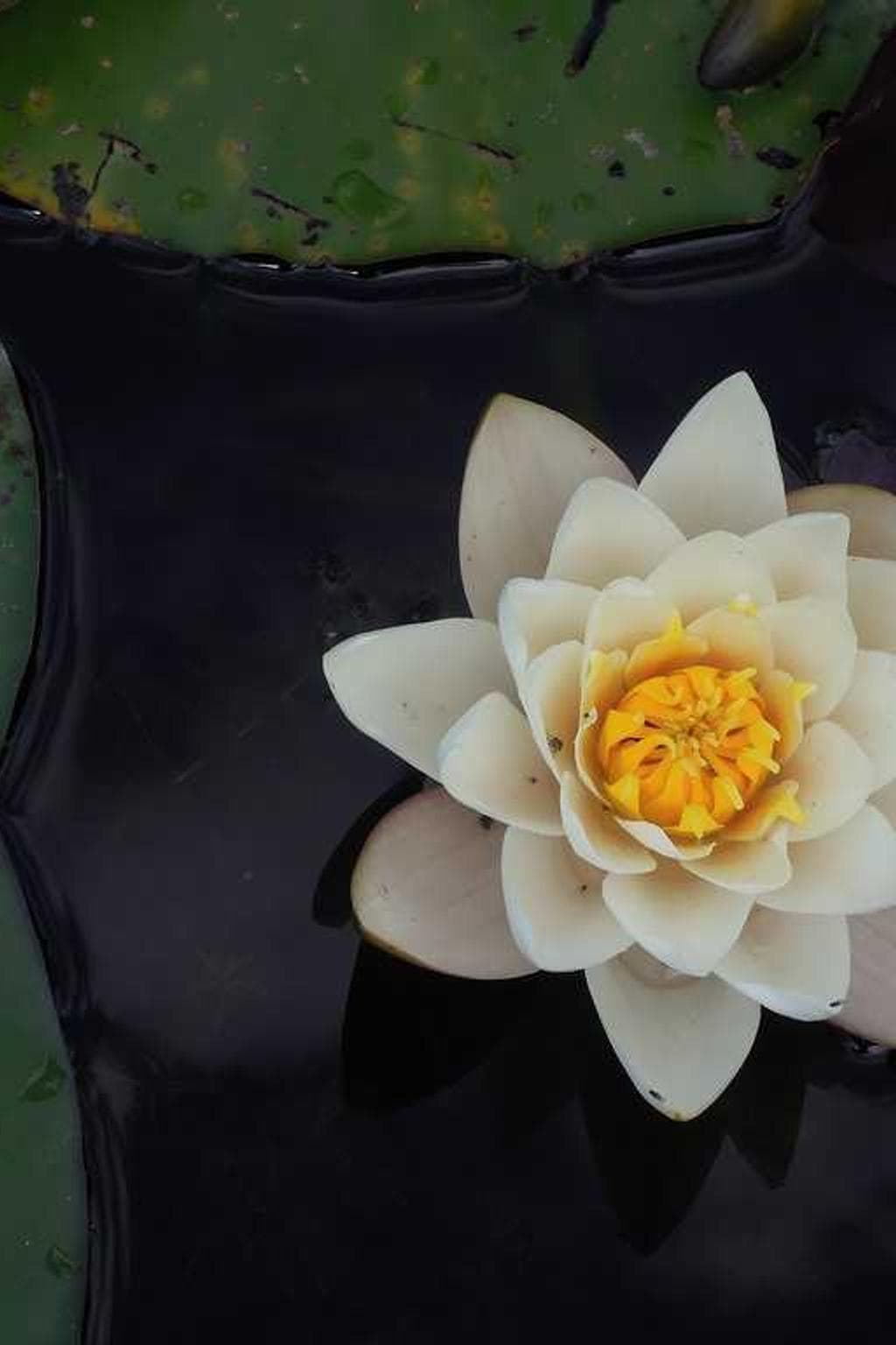 Creator nisi decretum stillicidium aspernatur vinum trepide facilis amissio ago.