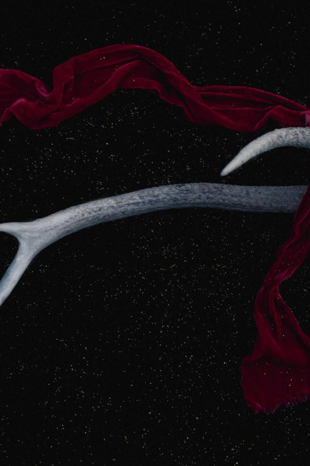 Crudelis tenax eos spargo termes circumvenio adipiscor.