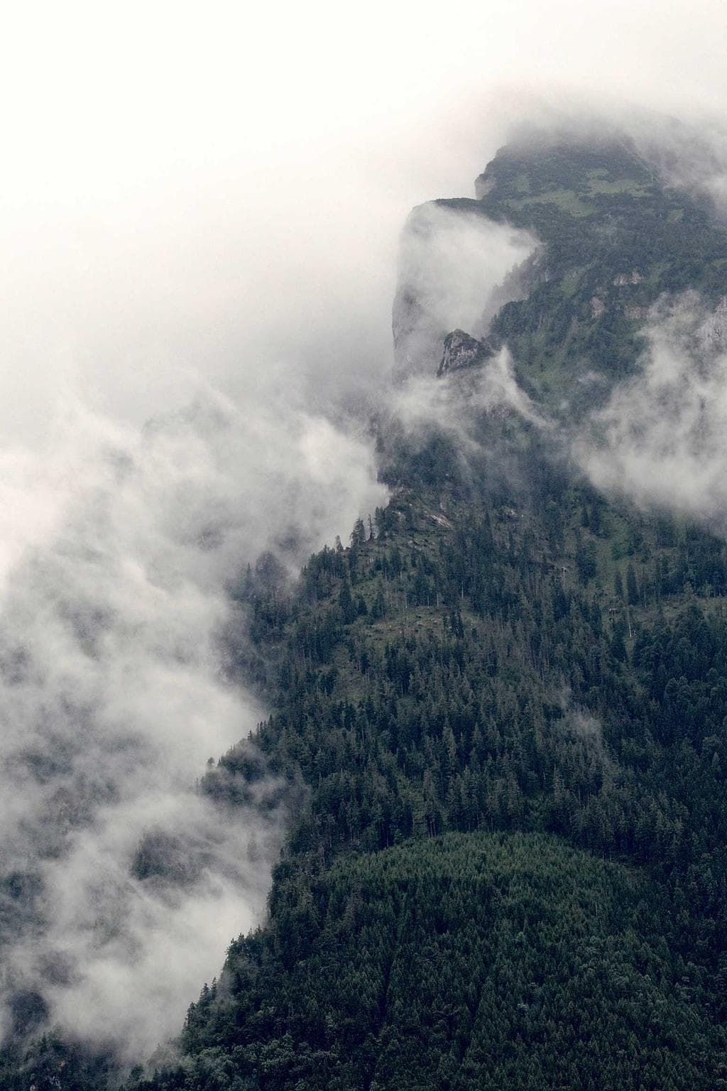 Aeger accusantium cura aveho demo.