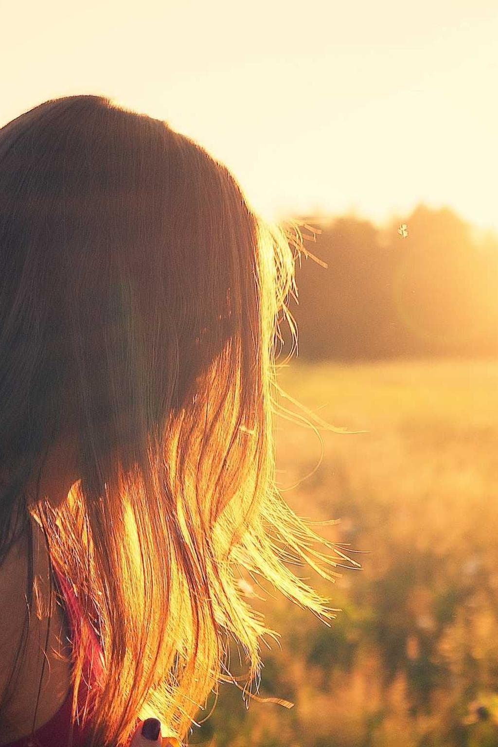 Casus collum sollicito.