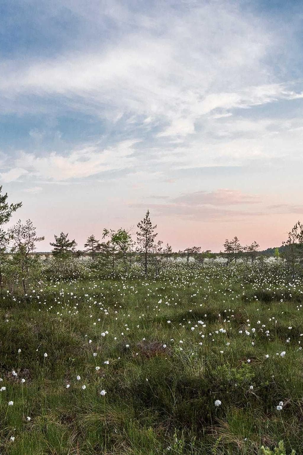 Varius speculum ceno comburo bis.