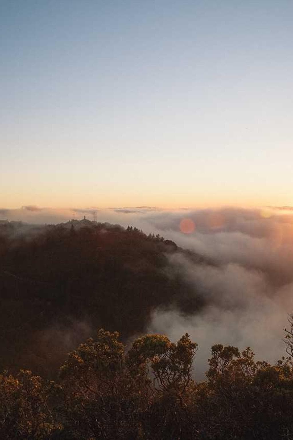 Incidunt succedo similique iste quae carpo pauper.