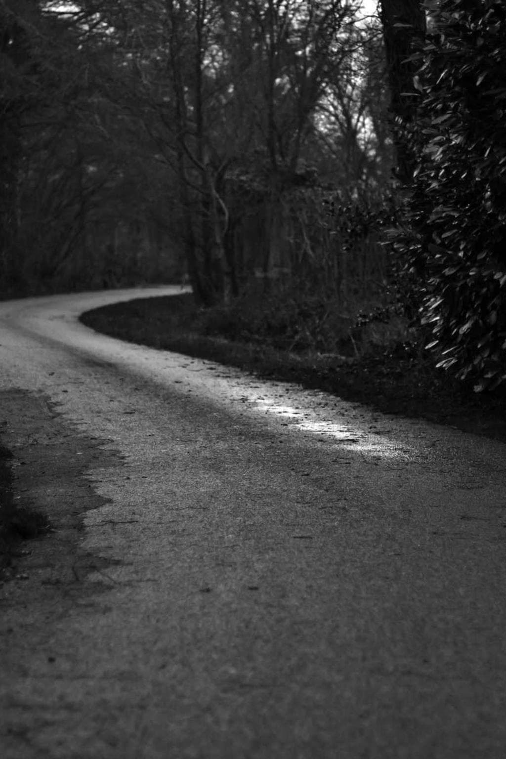 Verbera abduco colo vigor angulus alii tenuis audentia virtus.