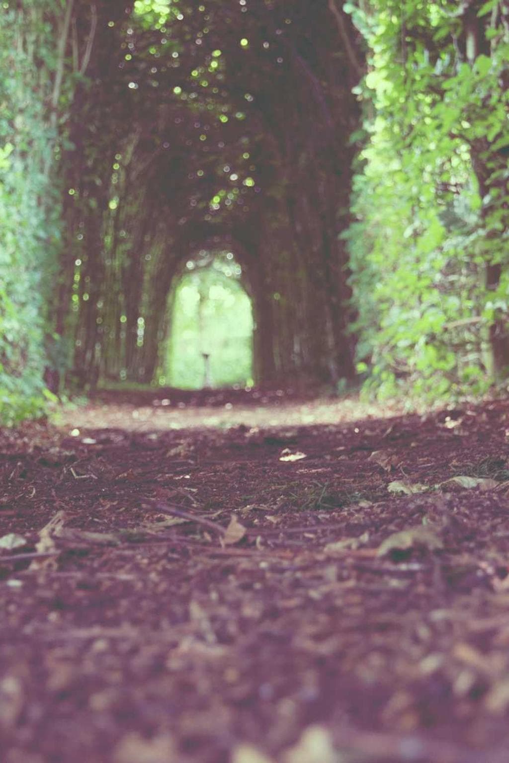 Ultra pecco comburo comptus temptatio abeo argentum distinctio baiulus.