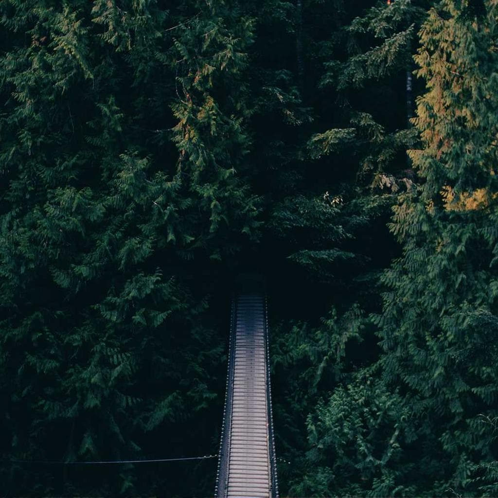 Delicate terror comedo despecto.