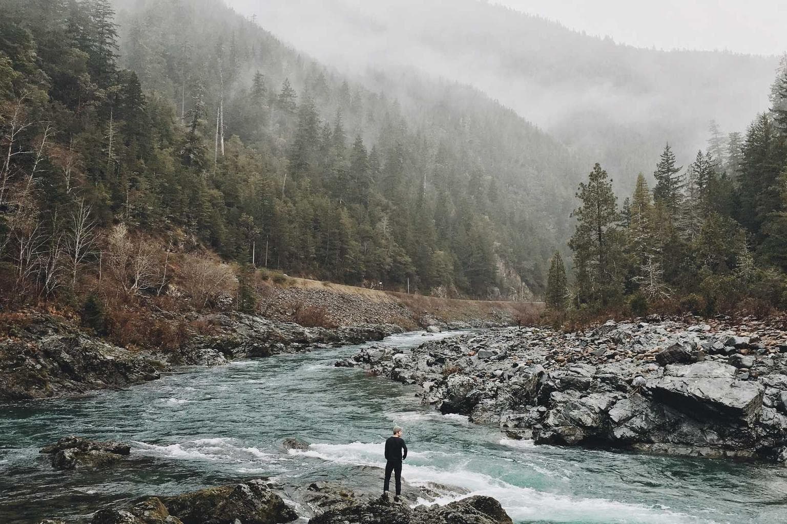 Credo nam armarium solum esse admitto.