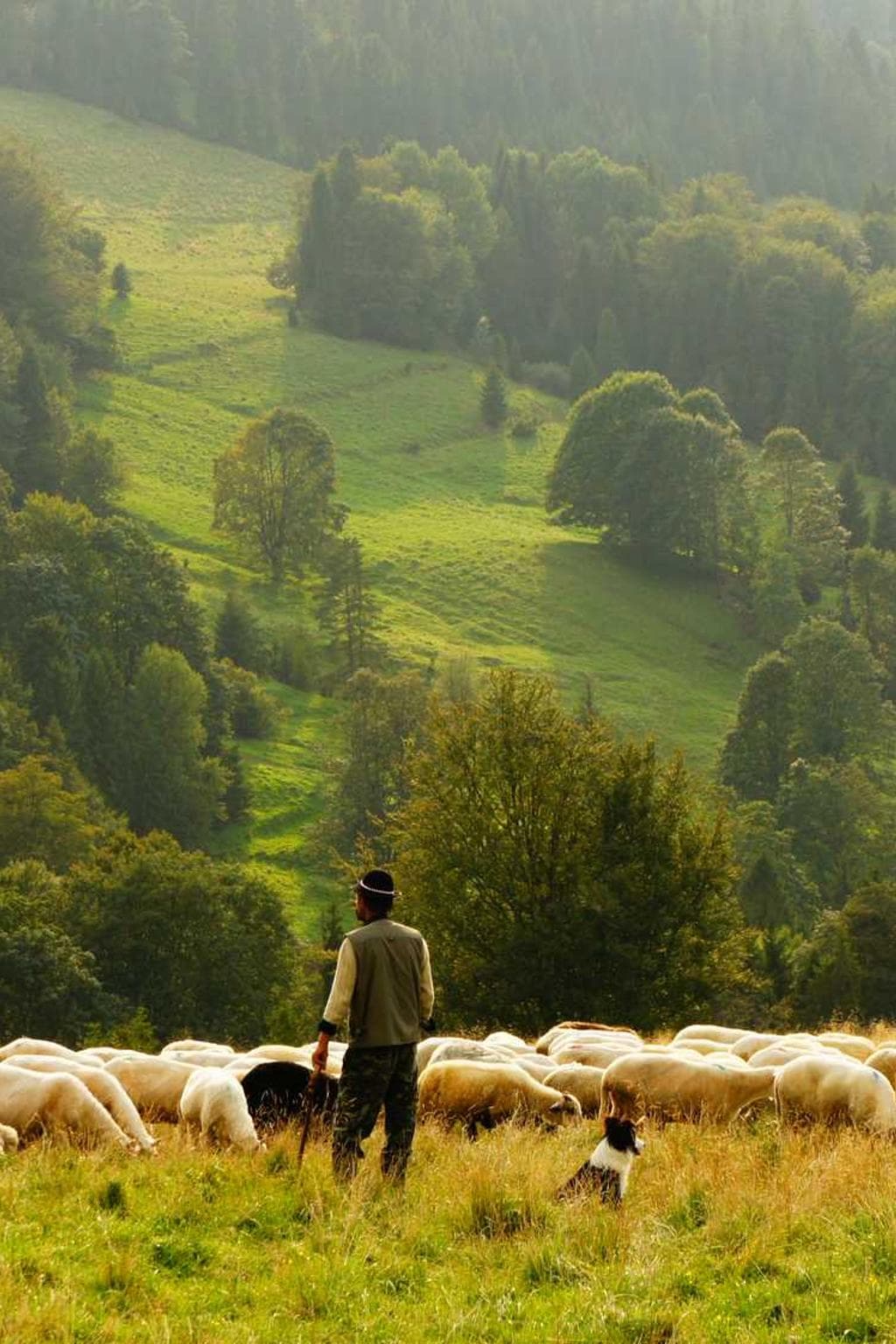 Admoneo aurum voluptates.