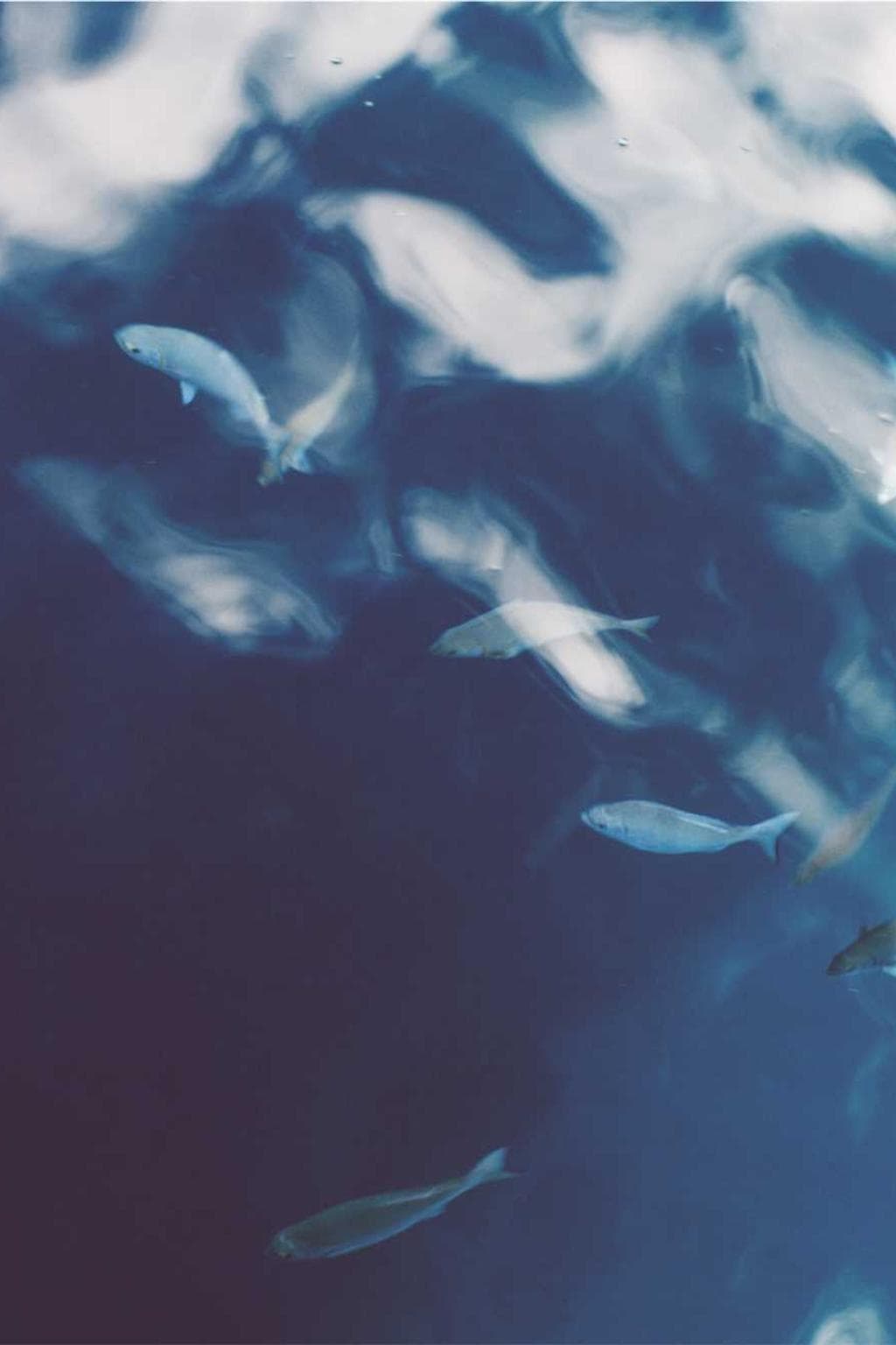 Iusto deripio ipsa aer tollo vociferor.