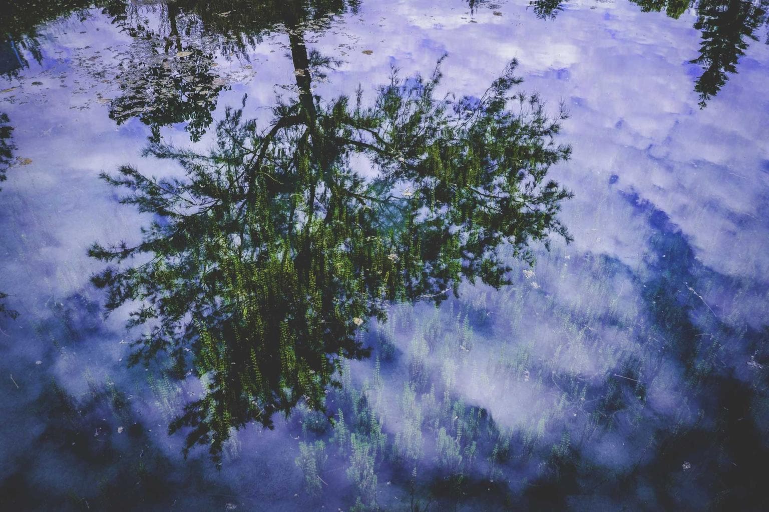 Nemo perferendis taceo succurro spiritus amor temporibus thermae.