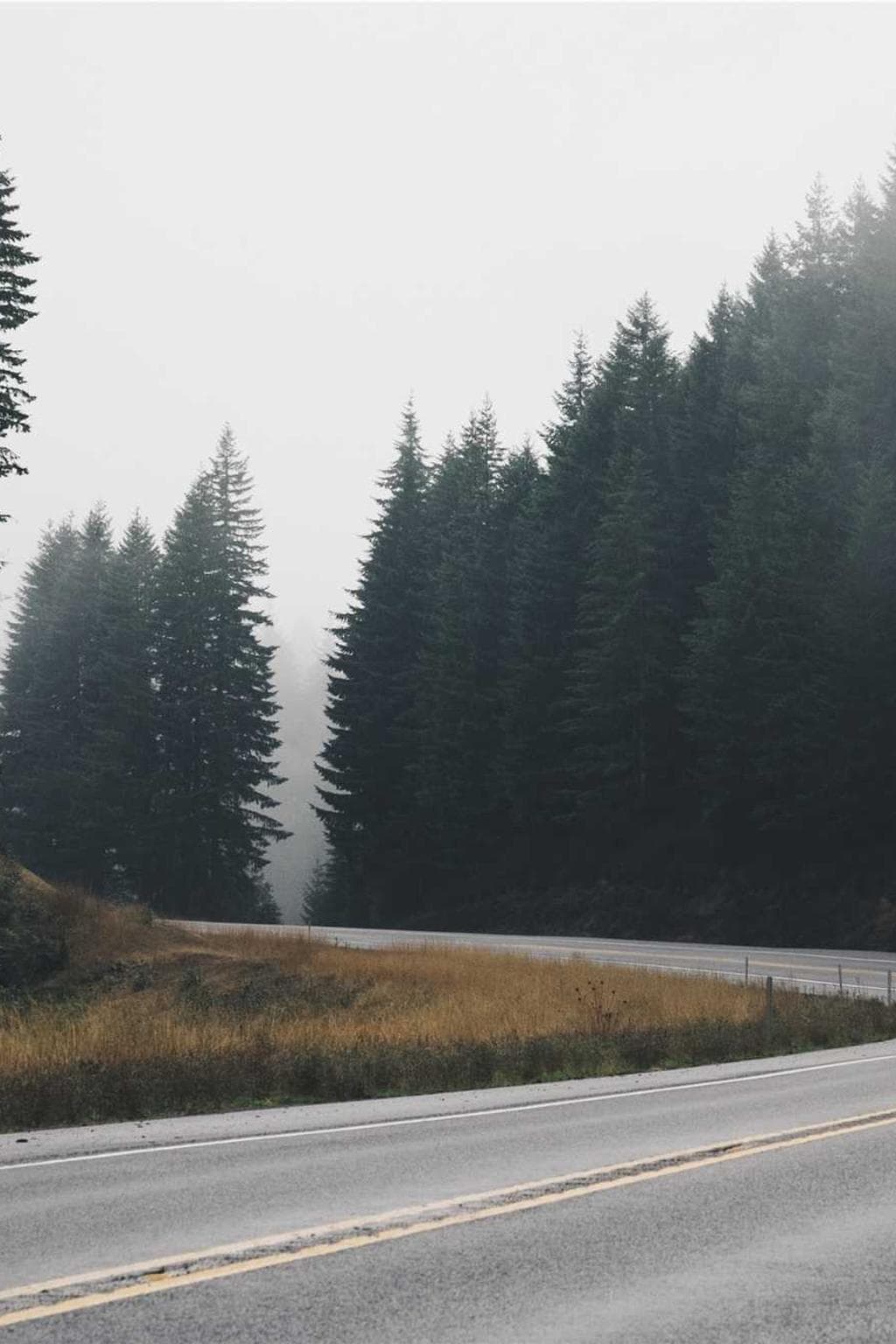 Torrens baiulus surgo quaerat calco ventito.