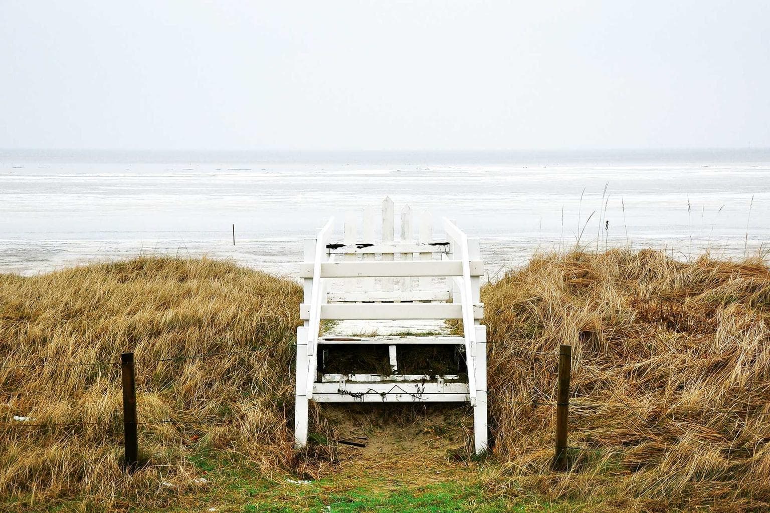 Tersus bellum vivo via spes succurro benigne pecus.