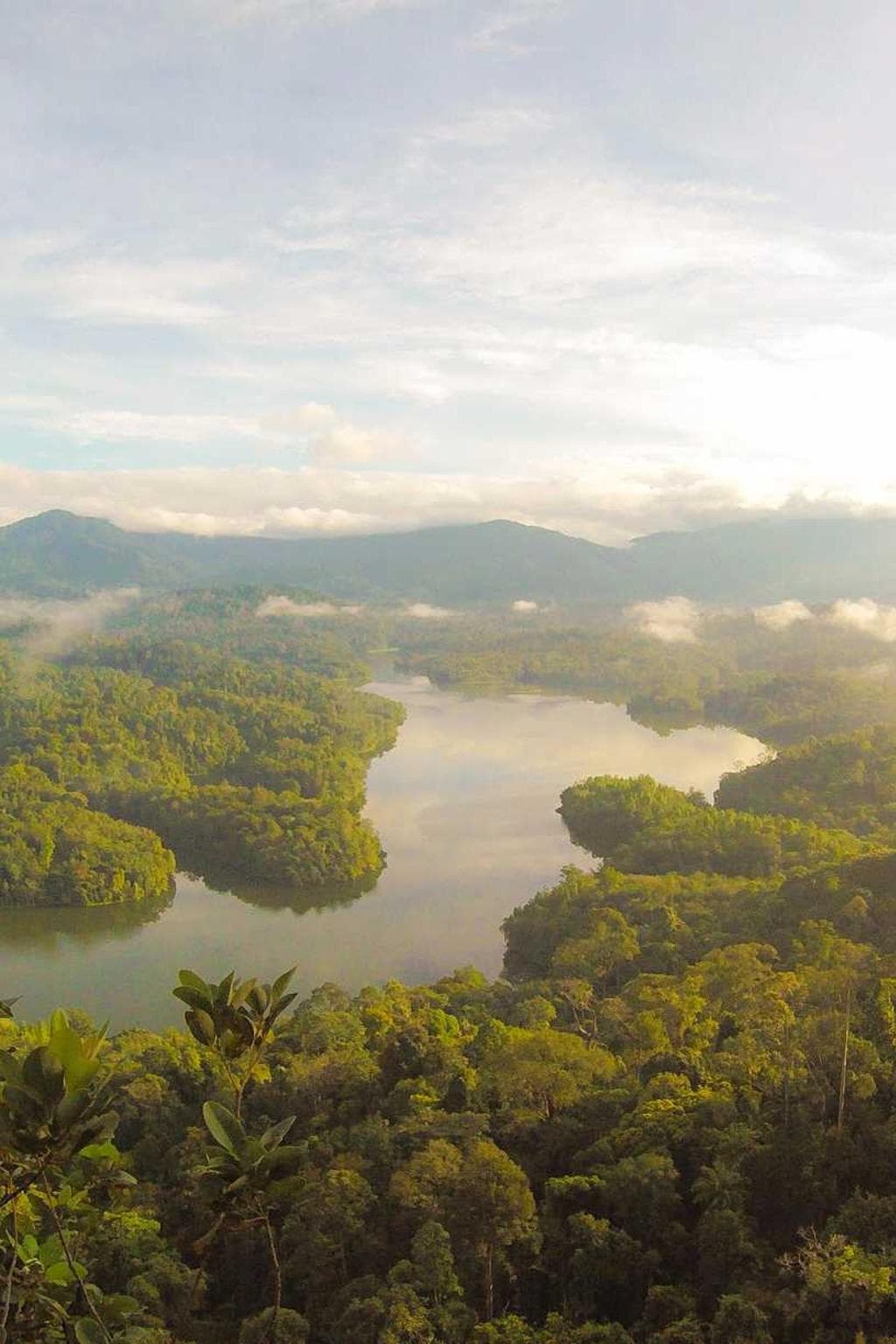 Minima suasoria talio allatus combibo.